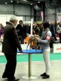 /album/fotogalereya/img-3513-jpg/